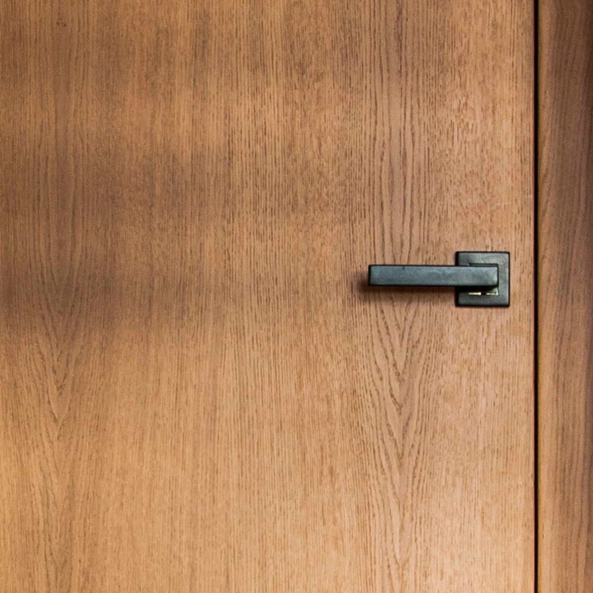 drzwi drewniane nowoczesne